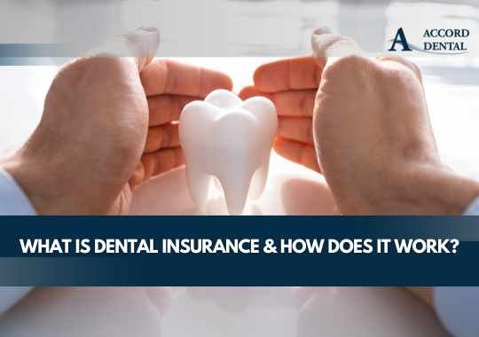 What Is Dental Insurance & How Does It Work?